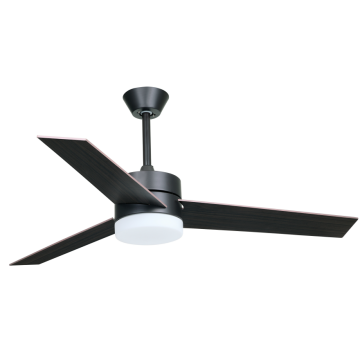 Modern Black Ceiling Fan with LED light