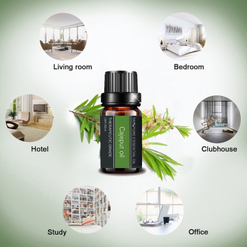 100%Pure Natural Plant Cajeput Essential Oil For Massage