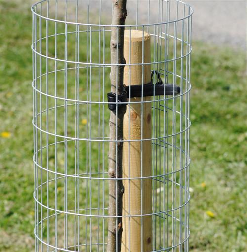 Welded Mesh Tree Guard