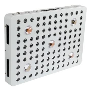 COB Led Grow Light Spettro completo per Gardenhouse