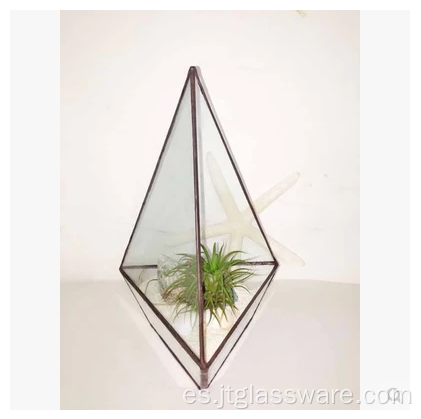 Macetero de estilo terrario de planta de vidrio cuadrado