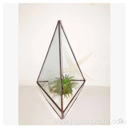 Square Glass Plant Terrarium Style Planter Box