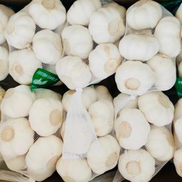Pure White Chinese Garlic