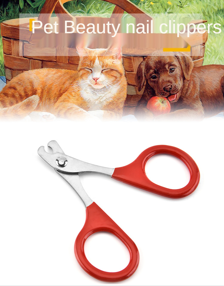 Pet Sippliers Pet Grooming Tool Stainless Steel Dog Cat Nail  and Trimmer Cheap Pet Nail Clippers