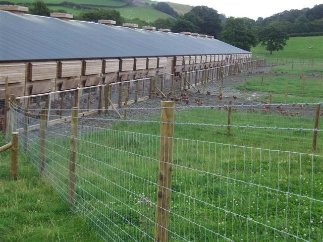 Galvanized Field Fence