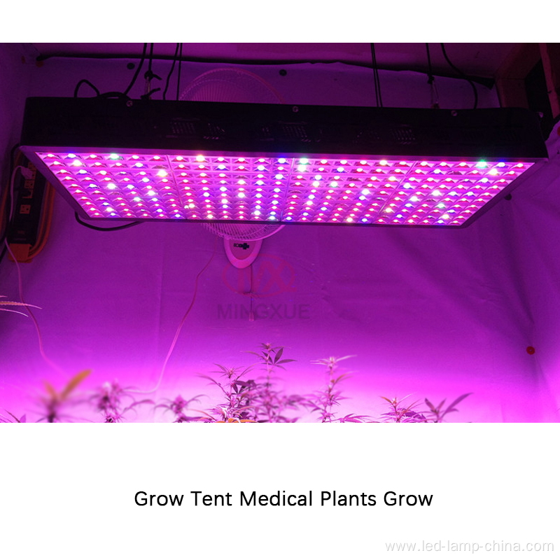 Led Grow Light 600W 1200W Led Grow Light for Flowering