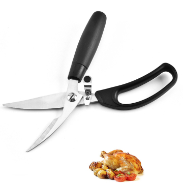 Kitchen stainless steel Poultry shear