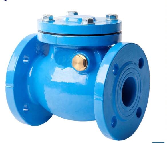 Swing Check Valve Mss-Sp71 Cl125/250  ANSI B16 1.0, Ductile Iron Automatic Switch Check Valve