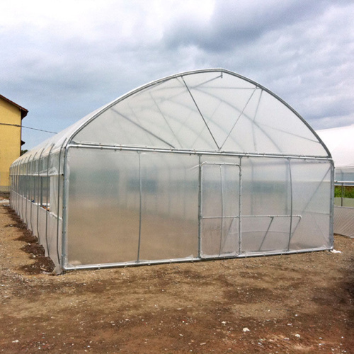 Galvanized Frame Single span PE Film greenhouse