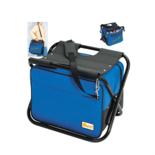 Funky Lunch Cooler Bags