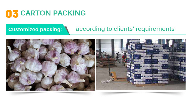 White Garlic Price From China for wholesale china garlic price