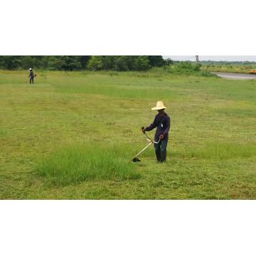 Tagliabordi 40,2 cc Decespugliatore 411 per agricoltura