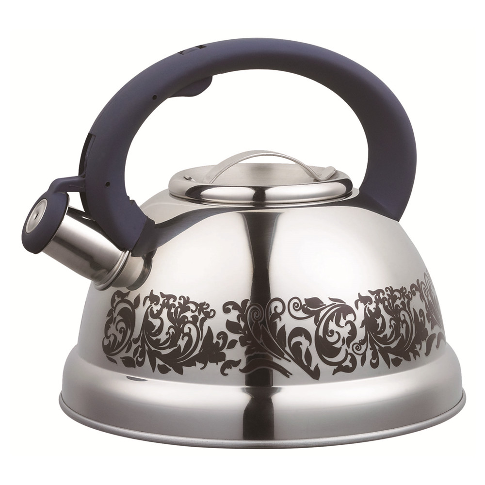 Avec une belle bouilloire sifflante à fleurs With Beautiful Flower Whistling Kettle