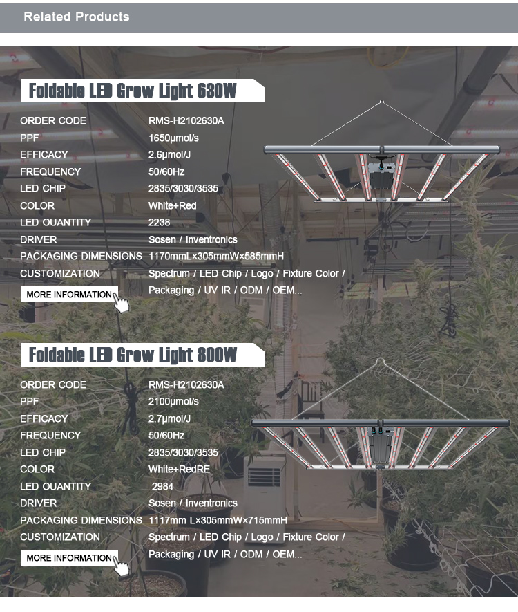 600W 1000W 2000W Led 10 Bars Grow Light Board