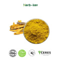 Cortex Phellodendri Extract Powder