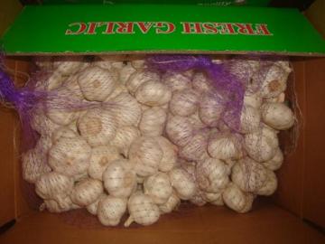 Pure White Garlic Packed 5kg 2bags carton