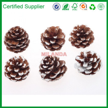 Christmas snow pine cone