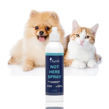 Wholesale Factory Pet Orientation Inducer No Pee Spray