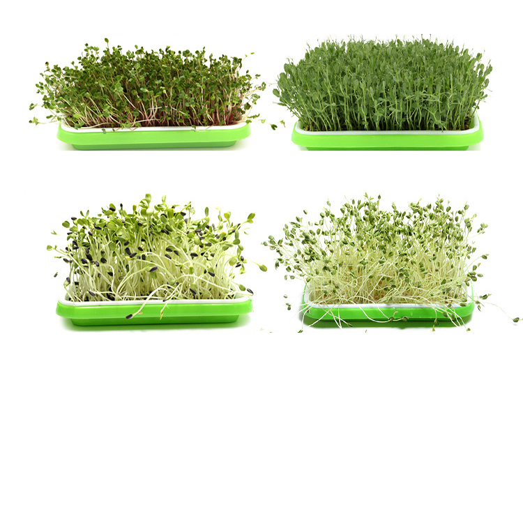 Flat PP Seed Tray plastic seed tray