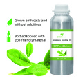 Aceite esencial de Ravensara 100% puro y natural Aceite esencial al por mayor de alta calidad BLUK para compradores globales El mejor precio