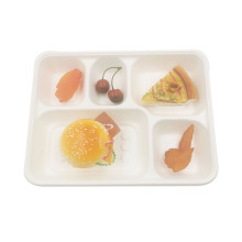 Biodegradable and Disposable Sugarcane Pulp 5-section Trays