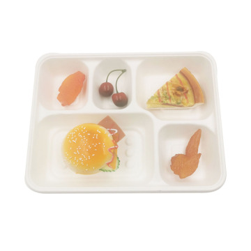 Biodegradable and Disposable Sugarcane Pulp 5-section Trays