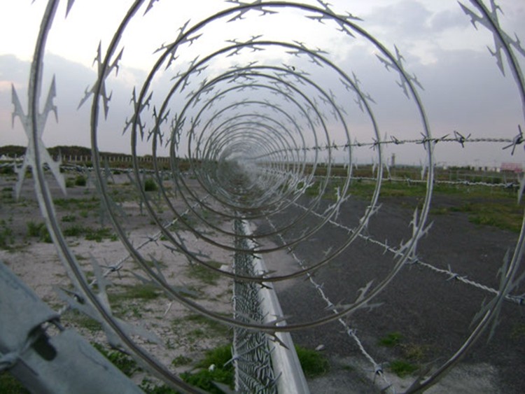 Galvanized Security Fencing Razor Barbed Wire Fence