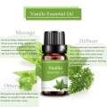 Label pribadi Vanilla Essential Oil 10ml Fragrance Massage