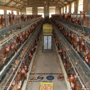 industrial chicken house using layer chicken cage for sale