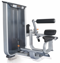 Commercial Gym Exercise Equipment Back Extension