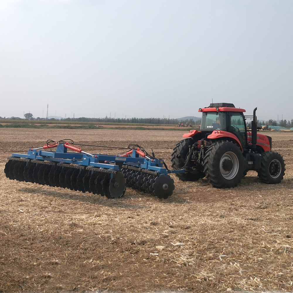 IMG_20200924_133707 IMG_20200924_133707