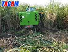 wheel type sugarcane machine sugarcane cutting harvester