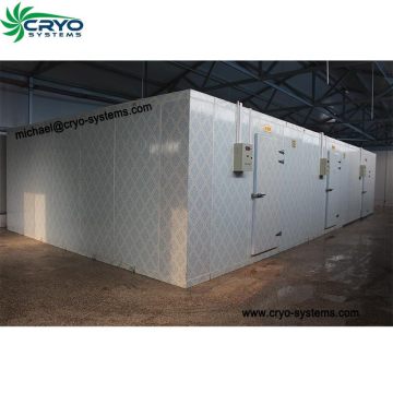 for quick industrial cold storage room , industrial freezer room for fruit , industrial blast freezer