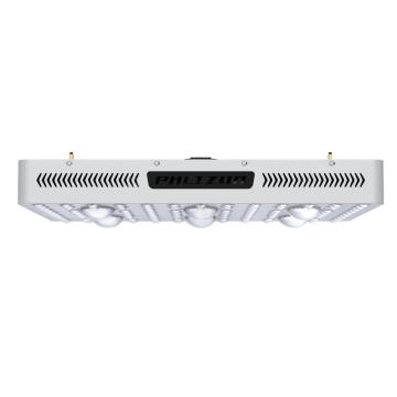 CXB3590 COB LED Grow Light Spettro completo 3000K