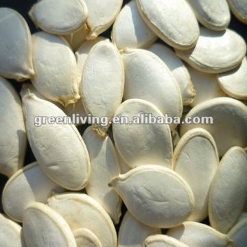 dried shine skin pumpkin seeds in bulk