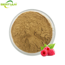 Organic Raspberry Extract Benefits
