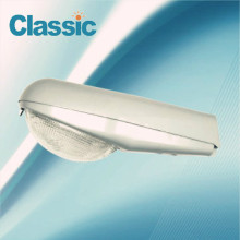 Highway induction street lightings