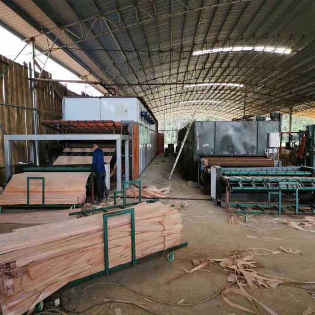 Hot Sale Wood Veneer Drying Machine 32m Double Deck Mesh Dryer