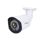 Starlight Analog Outdoor CCTV Camera 1080P