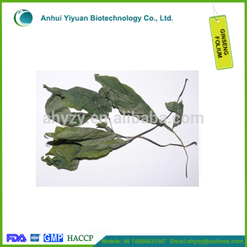 Ginseng folium/Renshenye