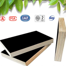 Builiding material GIGA 18mm waterproof phenolic film faced plywood sheet 