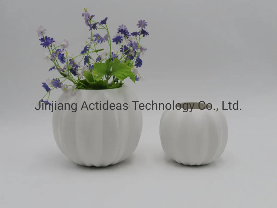 Fashion Design Ceramic Flower Vase Home Decoration