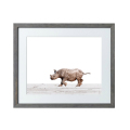 Rinoceronte di attaccatura di parete design