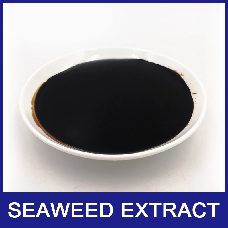 Refined Seaweed Extract Natural Fertilier