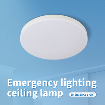 Led Emergency ceiling light
