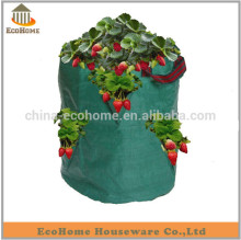 plant nursery bag