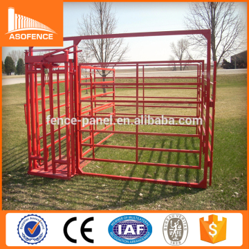 Australia standard temporary cattle yards/sheep yards/horse yards