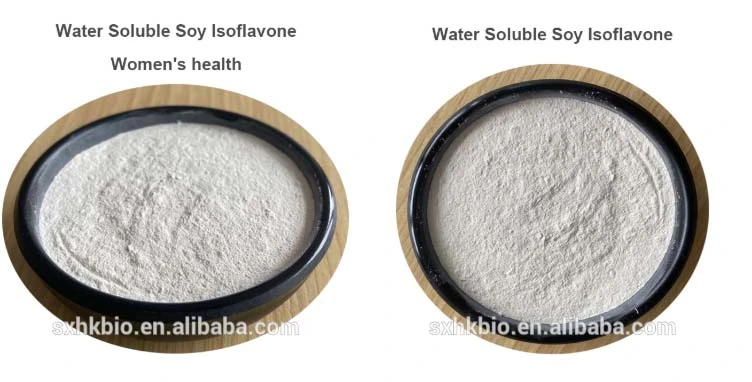 Wholesale Price Soybean Extract Powder 10% Soy Isoflavones