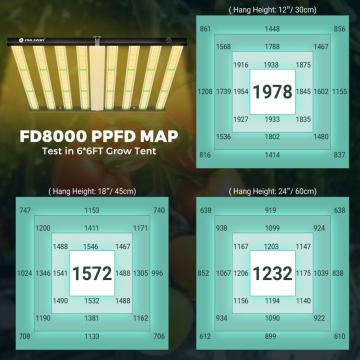 가장 저렴한 800W LED는 가벼운 수경법을 재배합니다