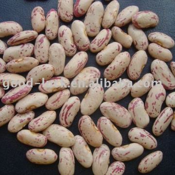 light speckled kidney beans